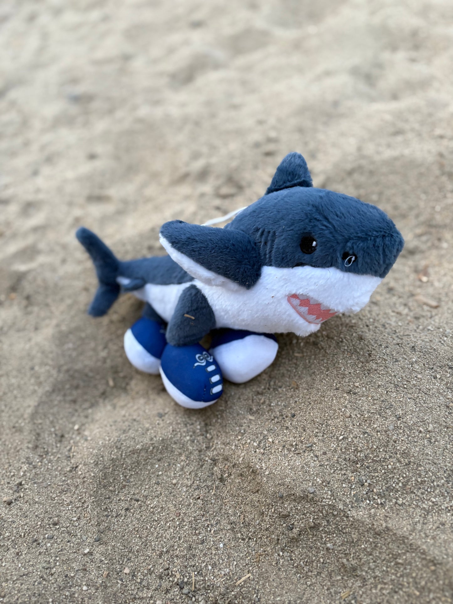 HugMe Plush™